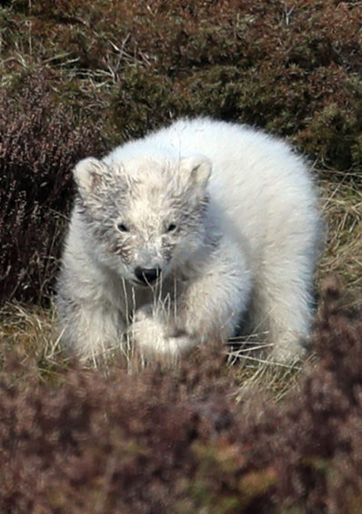 One of the first images of Hamish from 2018