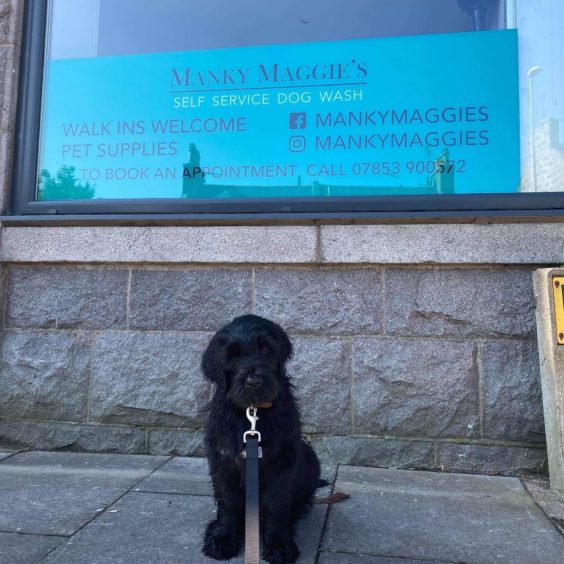 To go with story by Katie Paterson. A new dog groomer business has opened Picture shows; dog groomers. Aberdeen. Courtesy Kirsten Robertson Date; 14/08/2020