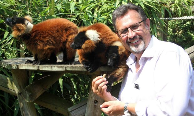 Highland Wildlife Park chief David Field reveals how an encounter with an orangutan inspired a career looking after animals