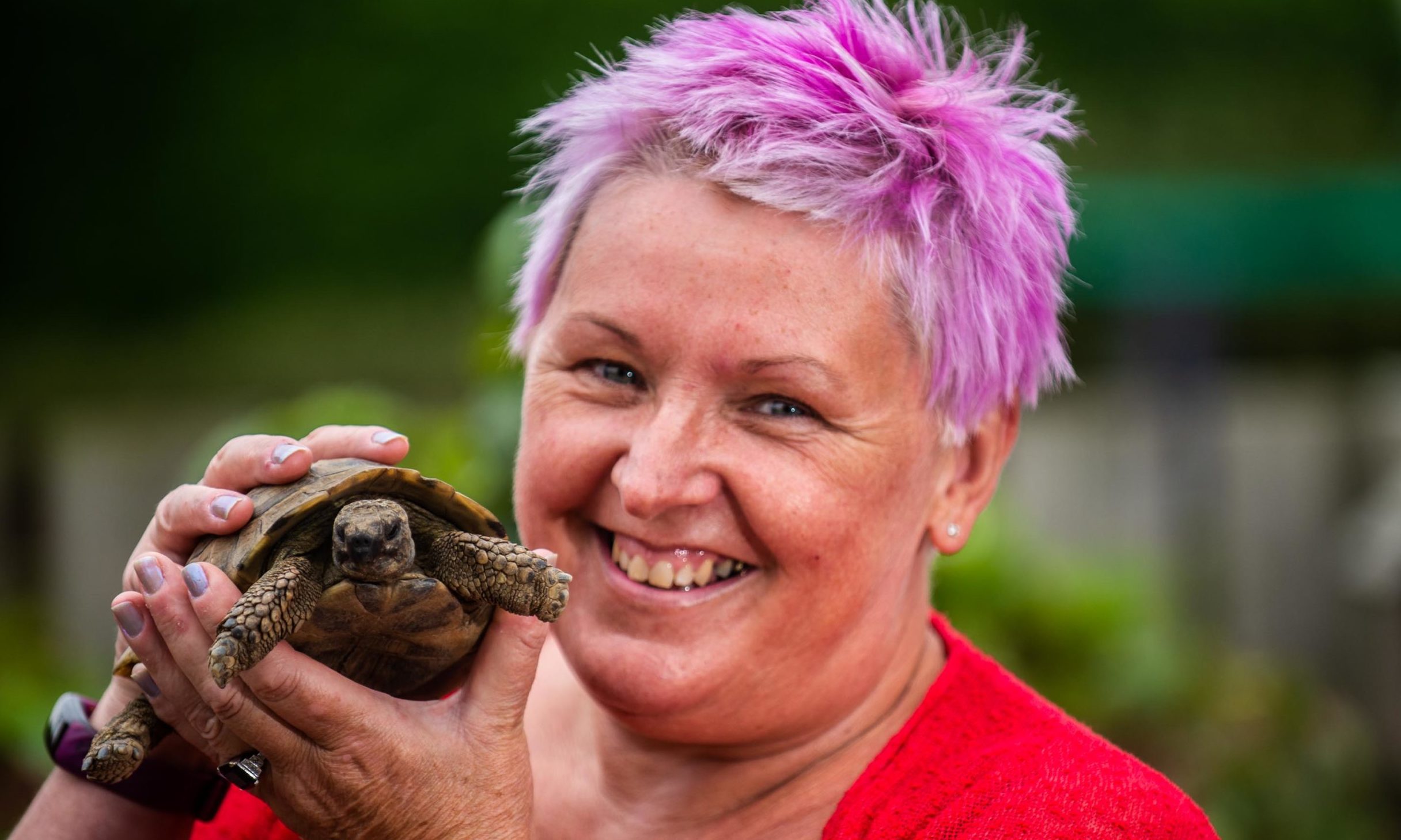 Angela Matchett with tortoise, Fred.