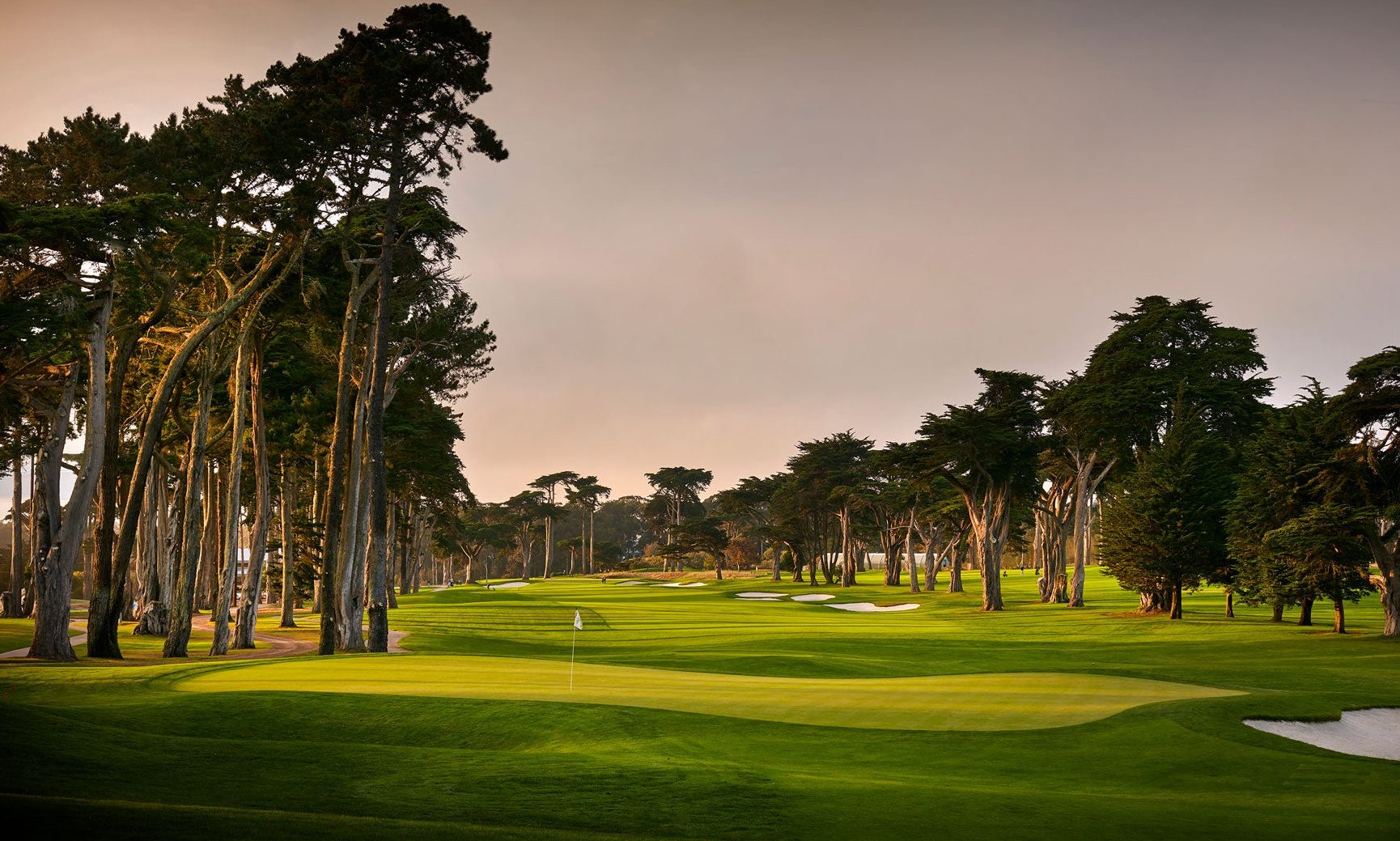 TPC Harding Park in San Francisco is a resplendent golf course dating back to the 1920s. It was designed and brought to fruition by William Watson from Kemback near Cupar.