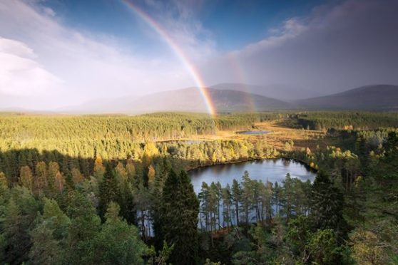There are many reasons to marvel at the Cairngorms.