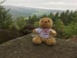 Teddy has joined Charlie McCorry on every ascent of Milestone Hill.
