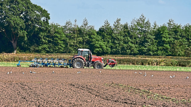 The longevity of soils can be extended by the use of conservation techniques, the study concluded.