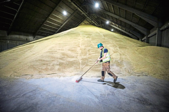 Growers are said to be unhappy with the malting barley price this year and are considering a move to growing more wheat.