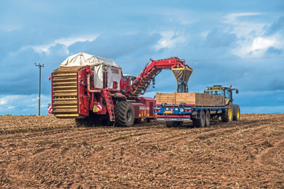 The fund aims to help tattie growers improve their water and soil sustainability.