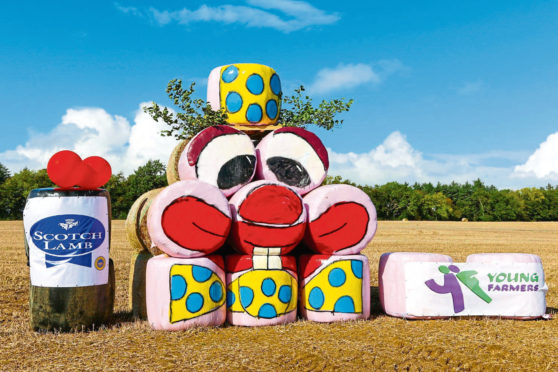 Fields will start to look colourful with the bale art competition.