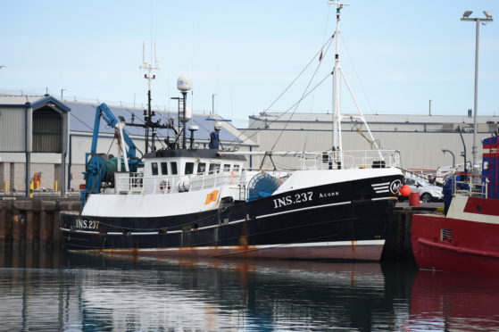 The Fishing boat Acorn INS 237 in Peterhead Harbour
Picture by Paul Glendell