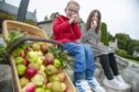 Cameron (5) and Jessica (7) Hawkins at Pitmedden Garden's  drive-through apple harvest.
Courtesy Rory Raitt