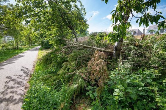 Aberdeen residents urged not to fly-tip Picture shows; Fly-tipping on the Deeside Way. Deeside Way. Courtesy Aberdeen City Council Date; Unknown