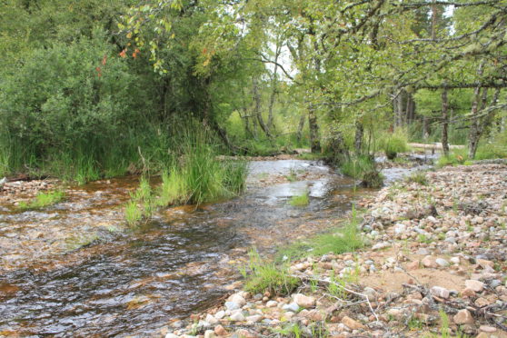 Allt Lorgy is a tributary of the River Dulnain.