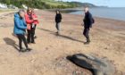 A sun fish washed up on Rosemarkie Beach