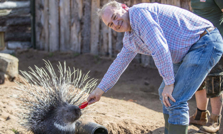 Liberal Democrat leader Ed Davey feeds one of the Cape porcupines during a visit to Fife Zoo in Cupar.