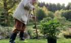 The Duke of Rothesay has planted a hydrangea in support of the  Horticultural Trades Association's new campaign, Million Planting Moments. Picture shows; The Duke of Rothesay at Birkhall. Courtesy of the Horticultural Trades Association