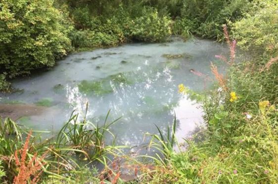Ponds at Denman Park in Westhill have recently been contaminated.Courtesy Aberdeenshire Council