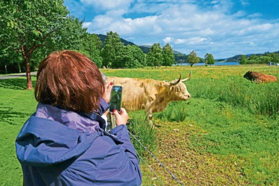 Tourism has become a key diversification for many farm businesses but it has been affected by the recent new rules.
