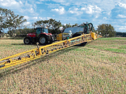 The trial will investigate whether catch crops can deliver the same benefits for soil health as cover crops, in a much shorter time frame.