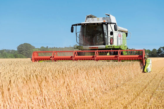 Crop samples are being collected by scientists.