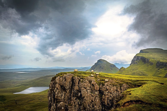 Sheep on the ledge of a cliff on the Quiraing, Isle of Skye, are among the 85 million sheep across the EU when it included the UK.