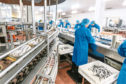Seafood processing factory. Image: Opportunity North East
