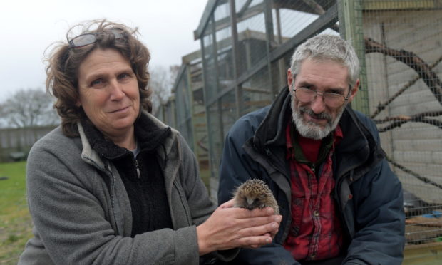 Pauline and Keith Marley at the New Arc wildlife centre.