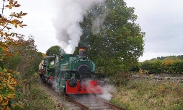 The Deeside Railway preservation charity is appealing for financial help after a tough year.