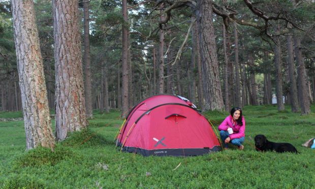 Gayle and her dog Toby wild camping near Braemar.