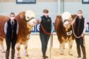 Lauren, Fiona and Ellie Stronach with the two 14,000gn Islavale bulls.