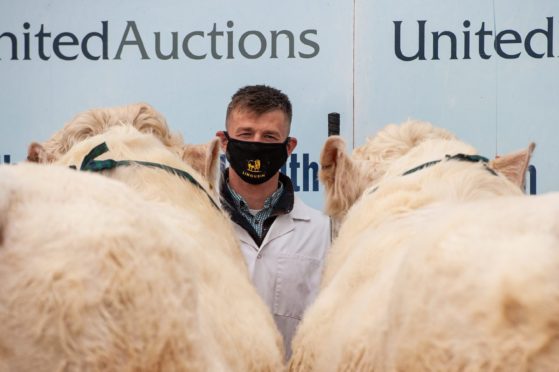 Everyone attending the Stirling Bull Sales was required to wear a face covering.