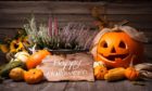 Jo and her daughters love the spooky holiday and decorating the house with pumpkins.