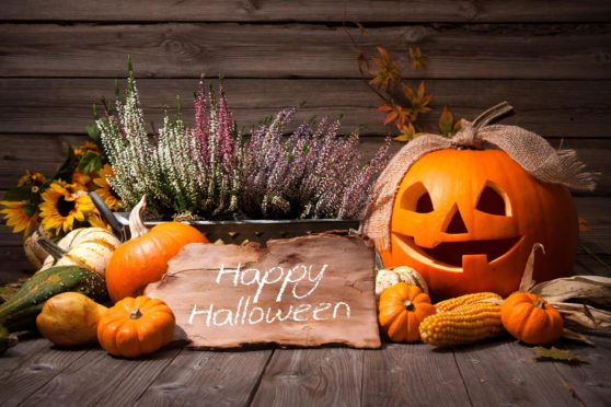 Jo and her daughters love the spooky holiday and decorating the house with pumpkins.