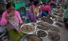 Manipuri women sell dry fish at a market in Imphal, northeastern Manipur state, India, Monday, Aug.8, 2016 Photo by Anupam Nath/AP/Shutterstock (5828010c)