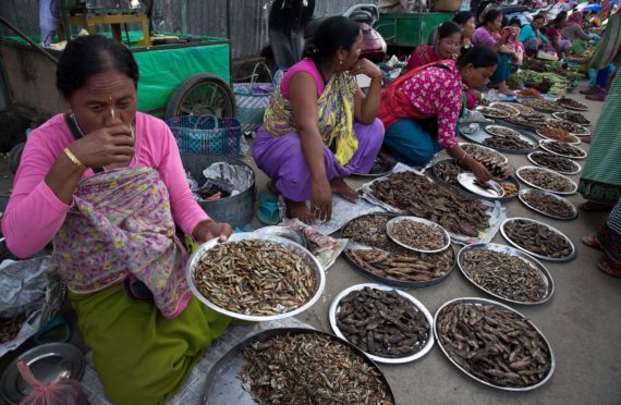 Manipuri women sell dry fish at a market in Imphal, northeastern Manipur state, India, Monday, Aug.8, 2016 Photo by Anupam Nath/AP/Shutterstock (5828010c)