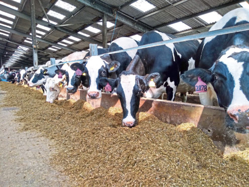 Soya was removed from the feeds of three of SRUC’s dairy herds.