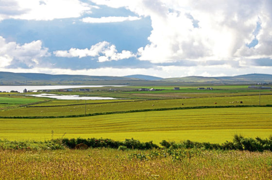 'Scottish agriculture has a key role to play in helping the country achieve ambitious emissions reduction targets.'