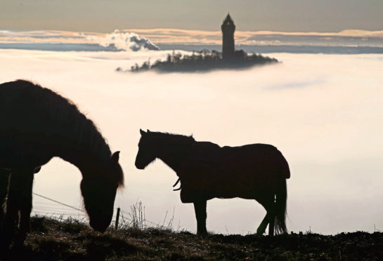 The Wallace Monument is shrouded in fog as it floats through the Carse of Stirling.