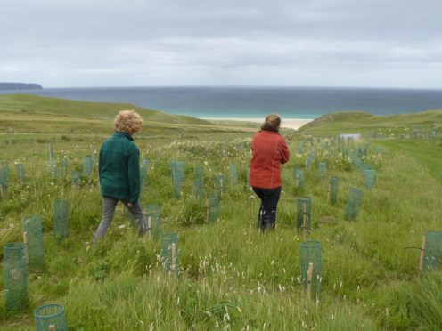 A tree planting scheme being run throughout the length of the Western Isles has been saved.
