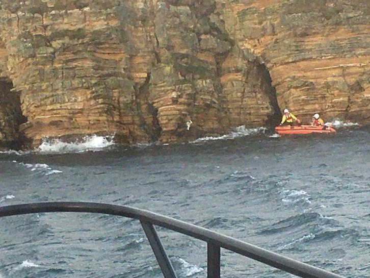 Blue the dog required rescue from the lifeboat crew after getting stuck on a cliff edge near Scapa Flow