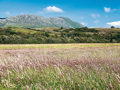 The NFUS and SWT have applied pressure on the Scottish Government to help the farming industry with the right tools and backing for the challenges ahead.