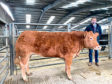 Harry Brown withe his champion heifer which sold for £4,100.