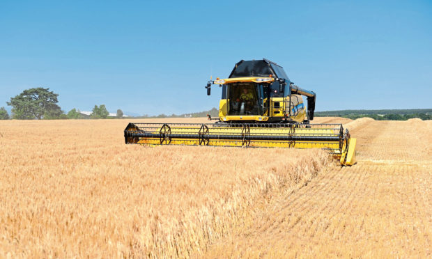 Farmers will be hoping they end up with a level playing field when the dust settles on the Brexit talks with Europe.