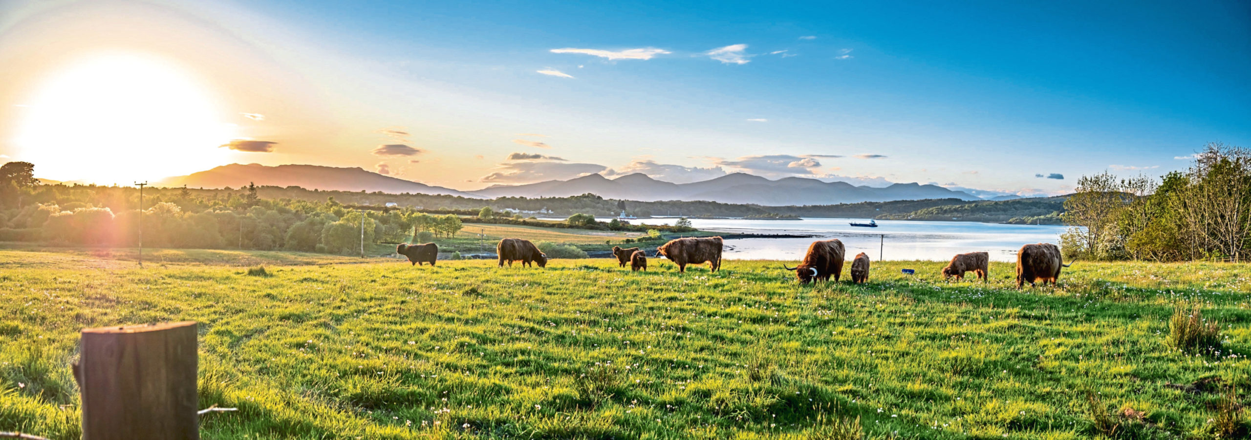 Fears new land tax plan could hit Agricultural Property Relief - Vimarsana News