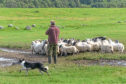Tenant farmers on secure 1991 Act tenancies could soon be able to sell their tenancy to new entrants.