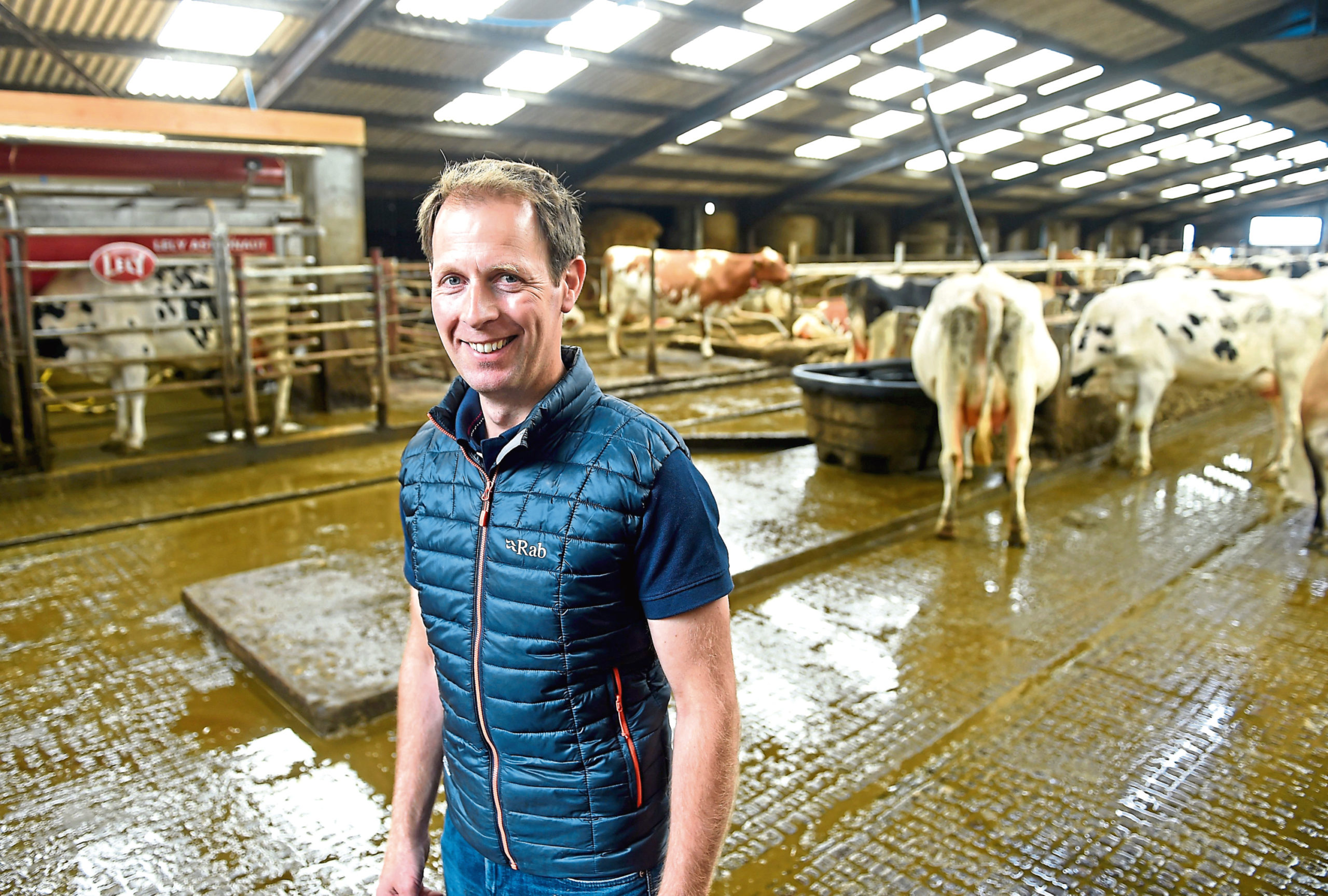 Jo Mackenzie: Cows' foot health steps up at Rootfield - Vimarsana News
