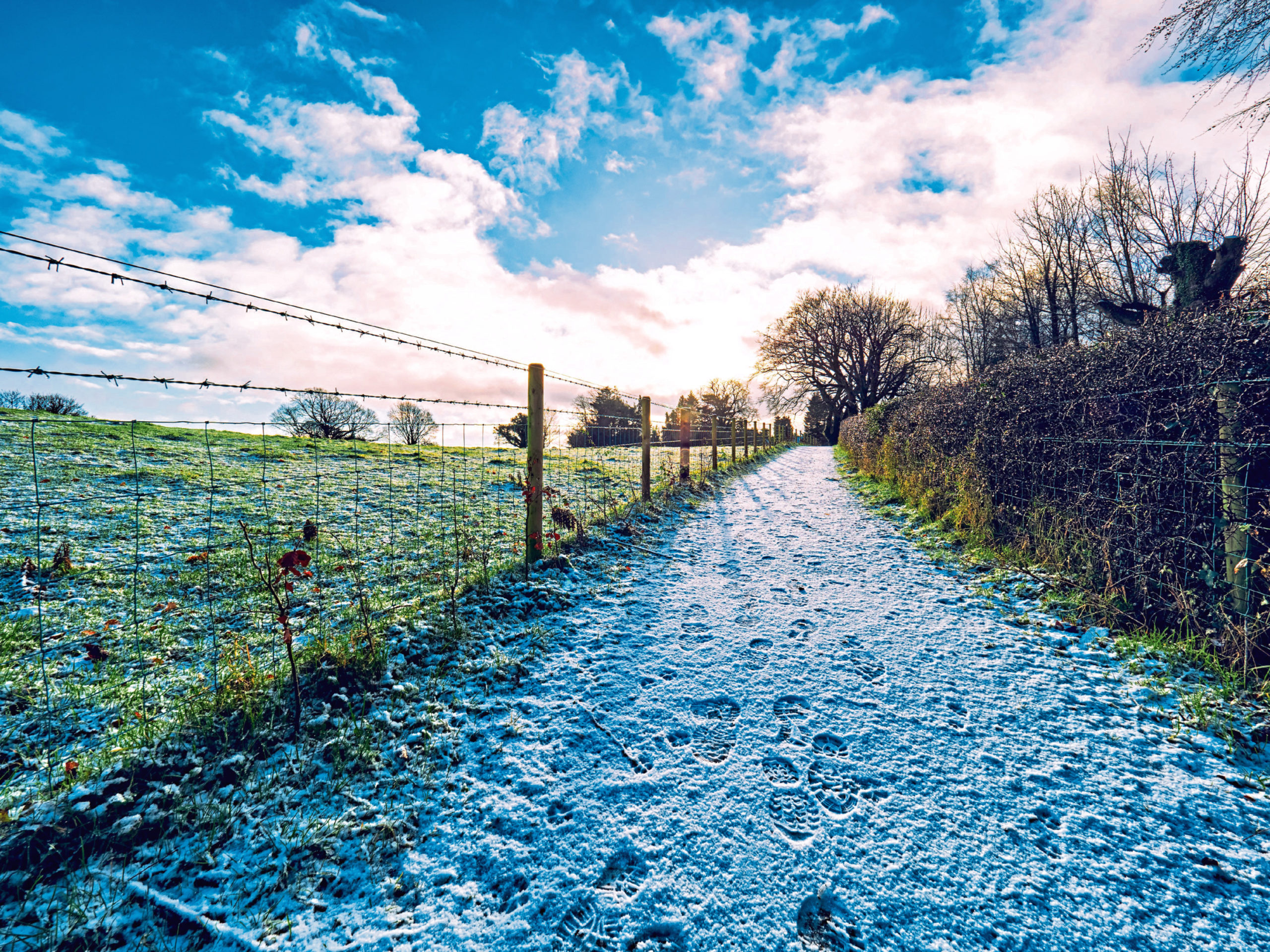 Scottish agri-environment scheme to reopen in 2021 - Vimarsana News