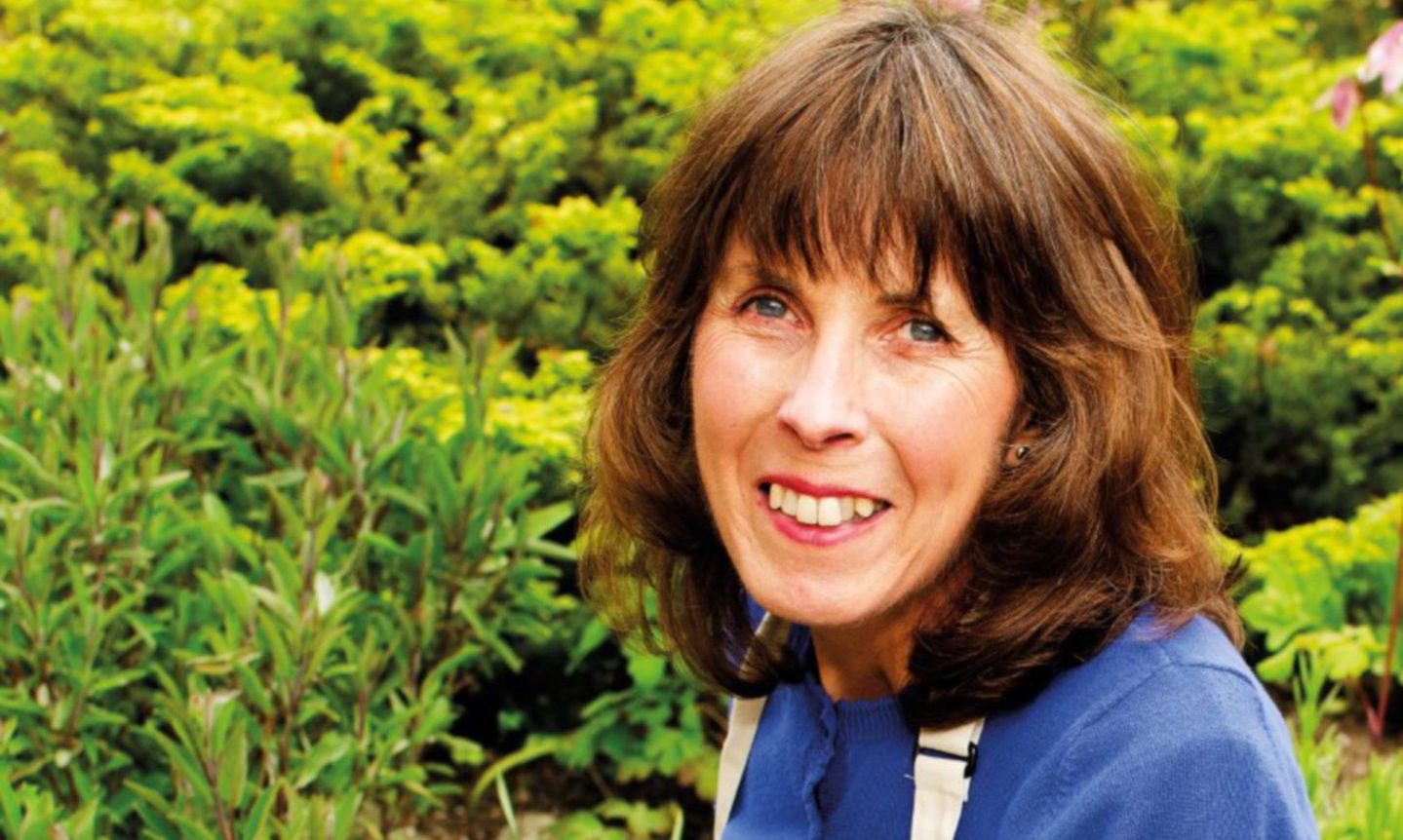 Meet the food writer who is helping one of Orkney's historic ingredients make a welcome return - Vimarsana News