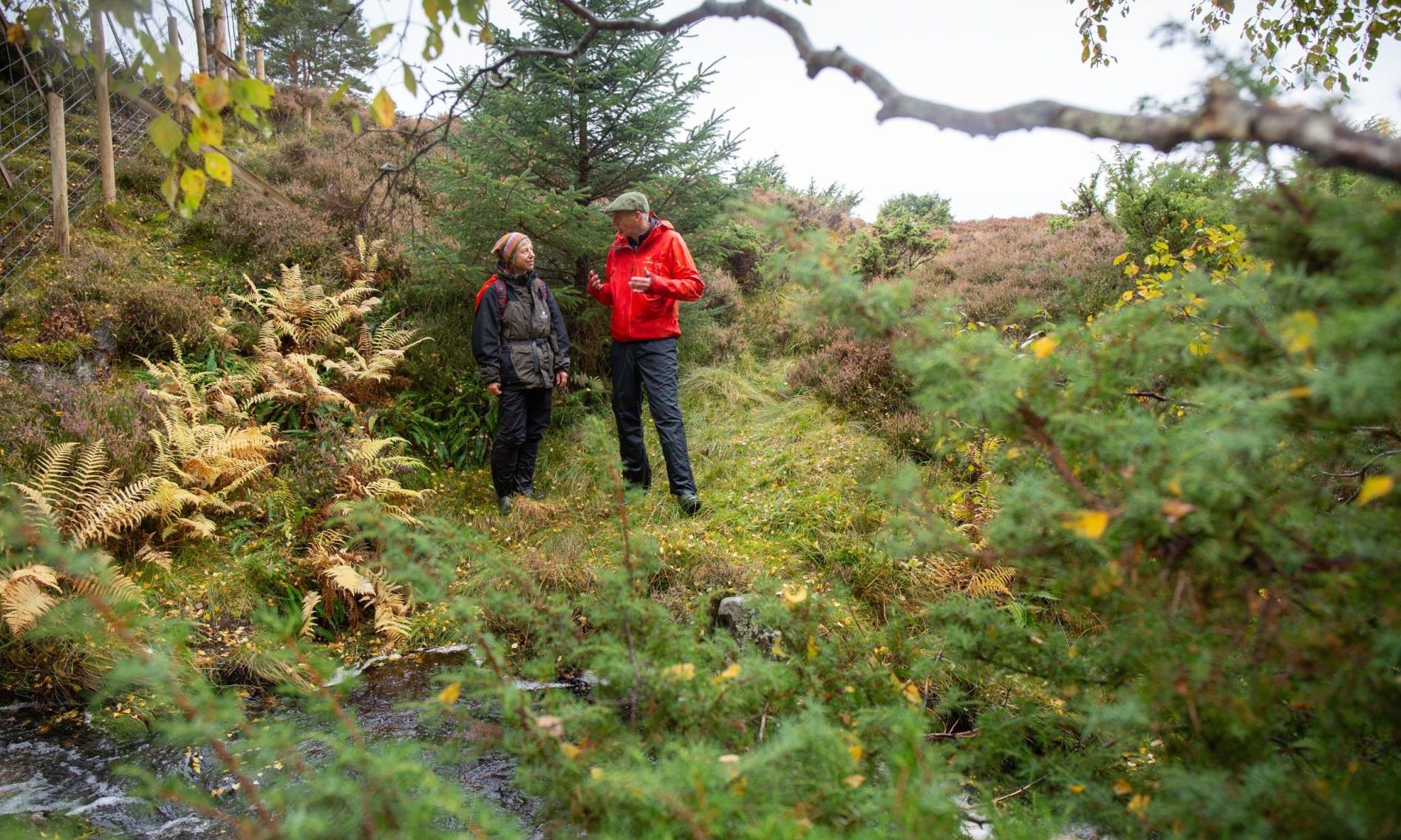 Two million more trees to be planted on croft land - Vimarsana News