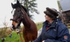 Retired Aberdeen police horse PH Nerston known as Nobby at his new home with new owner Bev Everard out at Burn of Cushieston.

Picture by Kami Thomson / DCT Media