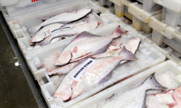 Peterhead Fish Market, Aberdeenshire.