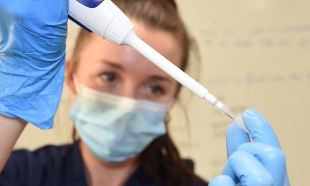 A swab sample  is sent to the lab and put through the analysis process at TAC Healthcare. Picture by by Paul Glendell.